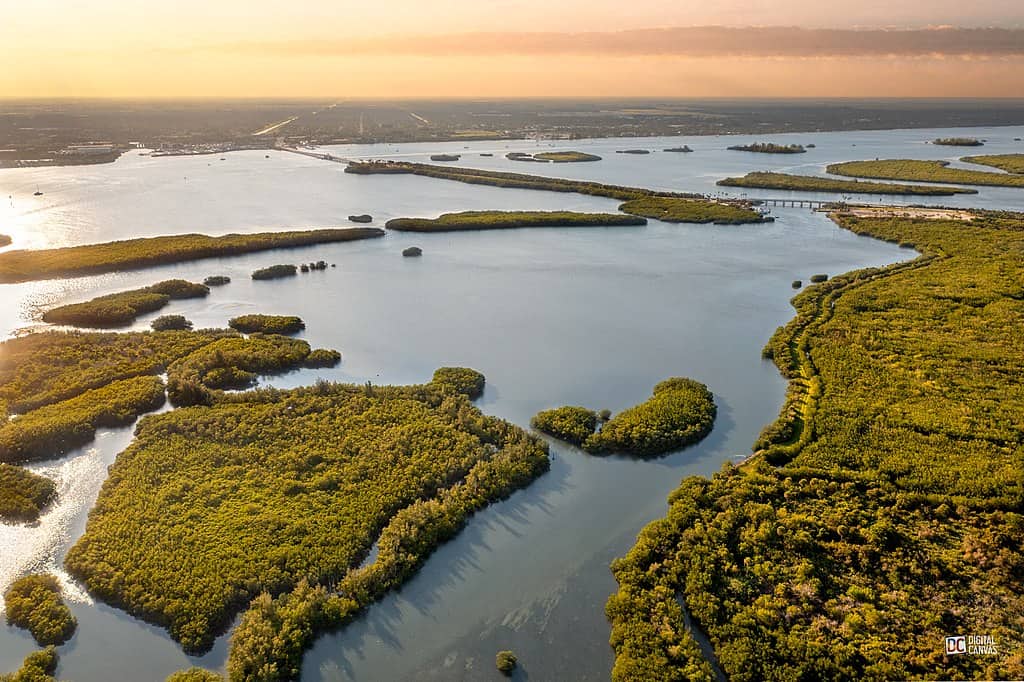Lagoon