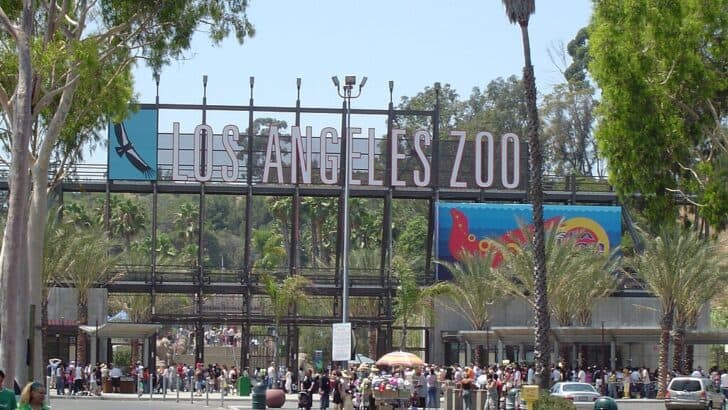 Are Zoos Still Ethical in 2025?