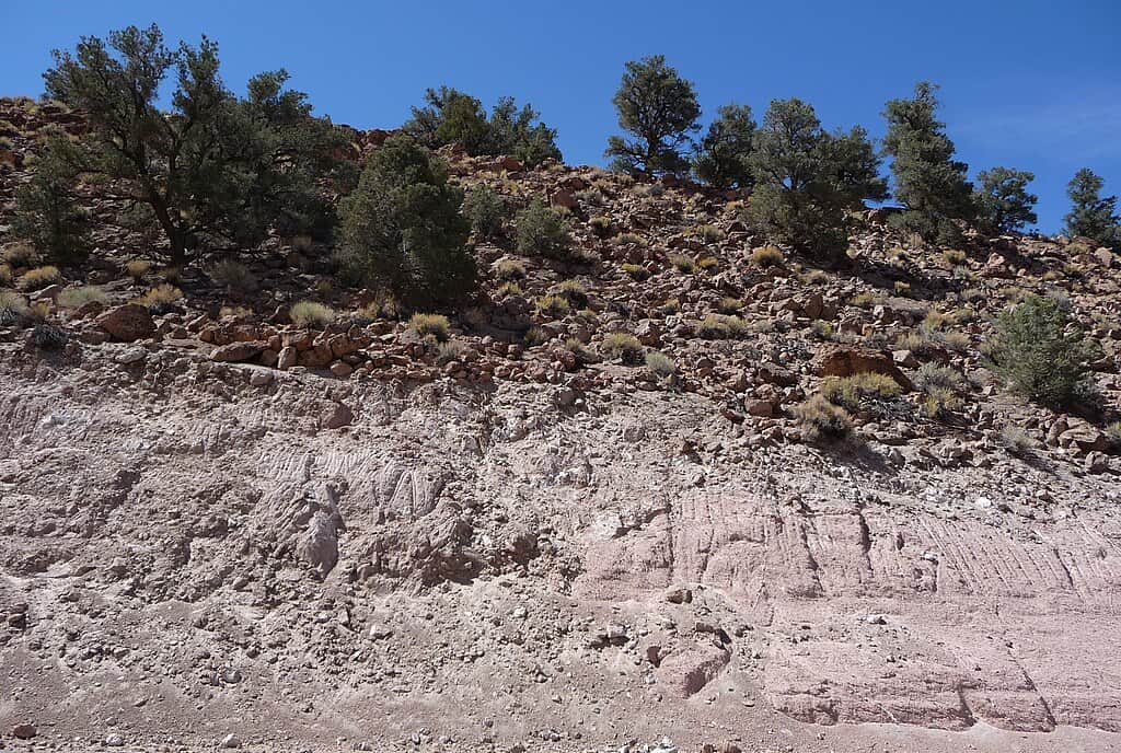 Long Valley Caldera - Bishop Tuff roadcut on CA 120 near Adobe Valley