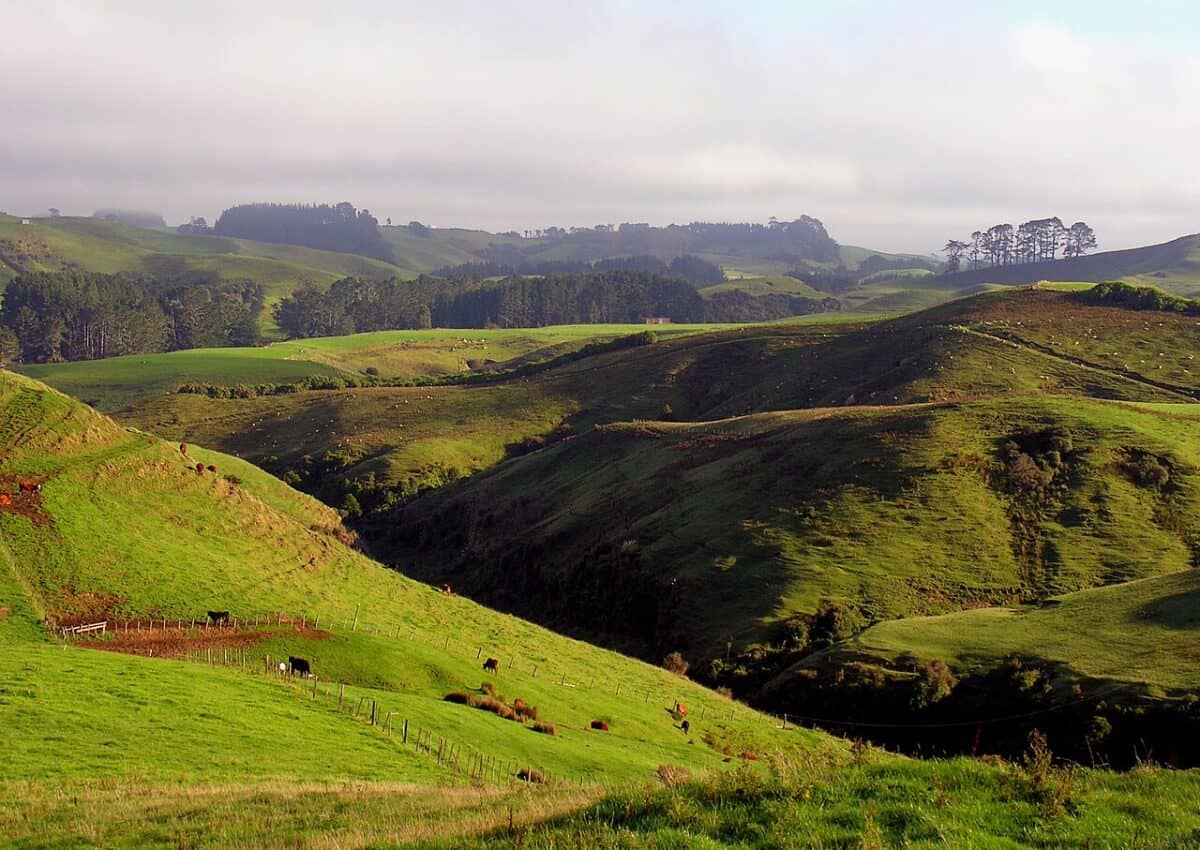 Taranaki