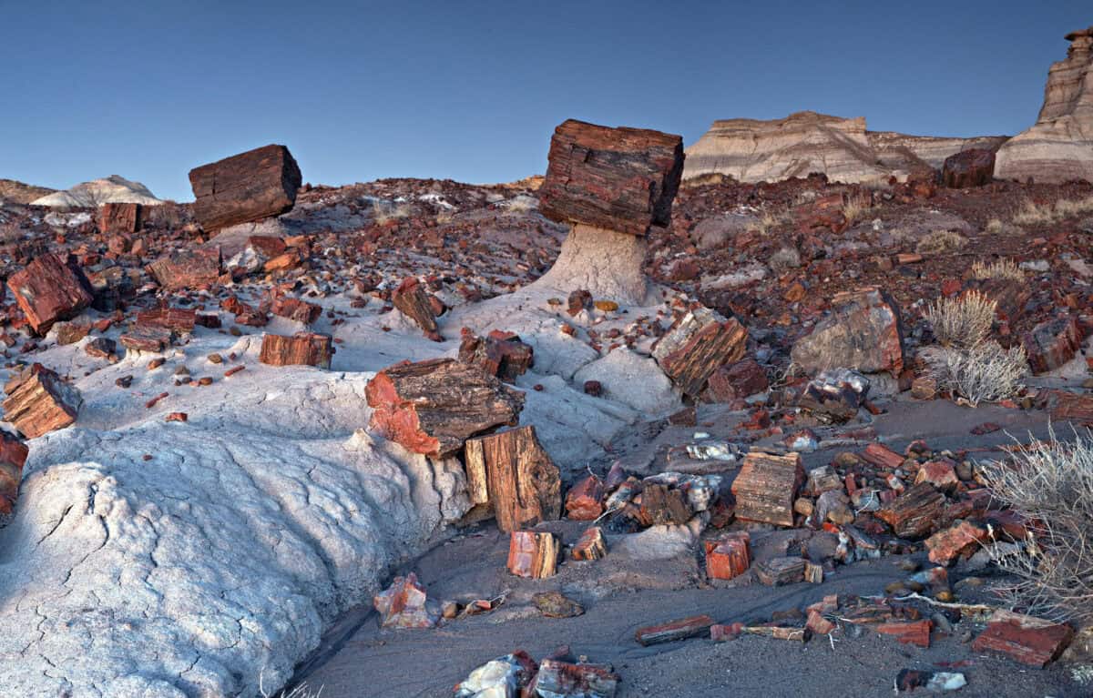 Petrified Forest