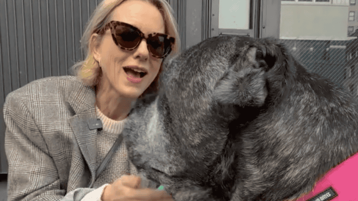 Naomi Watts Meets a Cuddle Bug and Has the Sweetest Dream Date