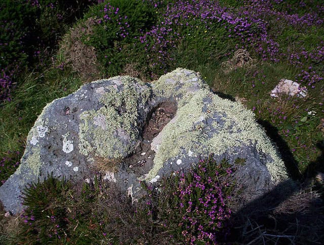 Giant footprint.