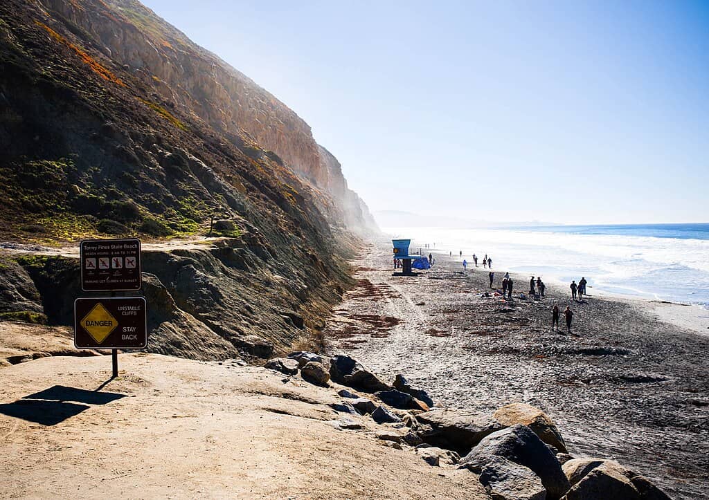 Torrey_Pines_State_Beach