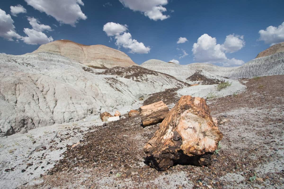 Petrified Forest