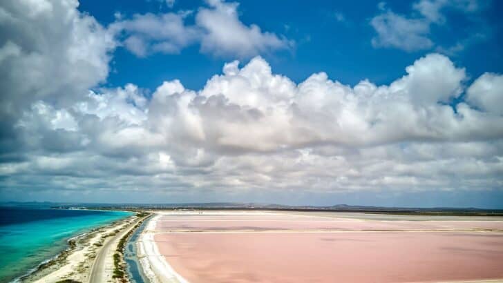 Scientists Still Don&rsquo;t Know Why This Lake Turns Pink