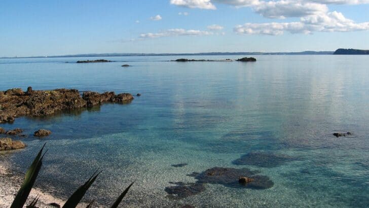 Earth’s Sea Levels May Be Far Higher Than We Thought, New Research Shows