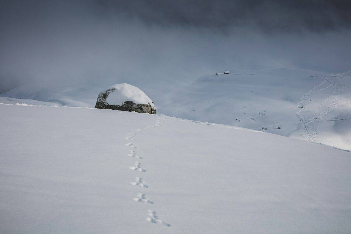snow-covered rock