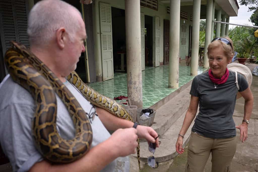 Pet snake.