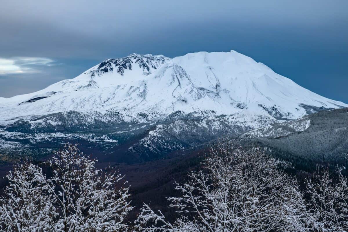 A snow covered mountain with trees in the foreground