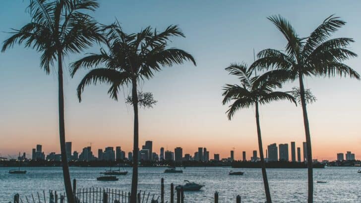 11 U.S. Beaches Where Shark Sightings Are Most Common