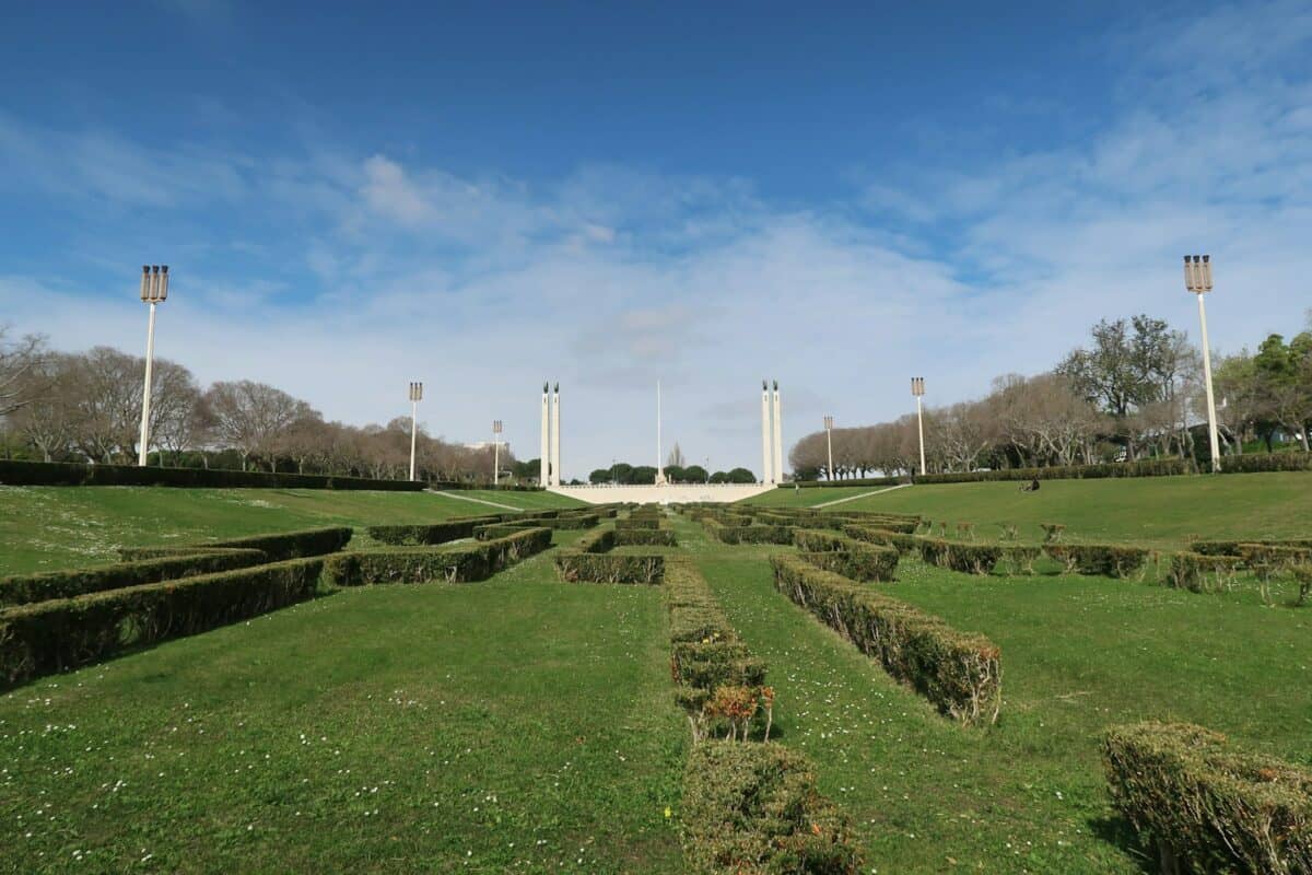 hedge maze