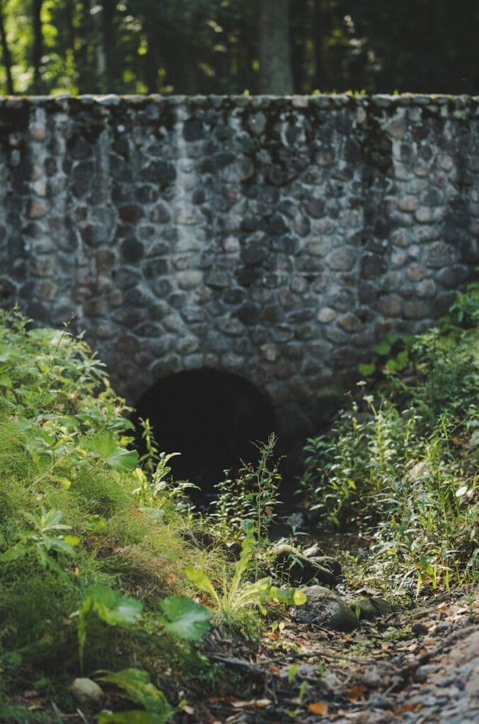 A stone bridge over a small stream in a forest