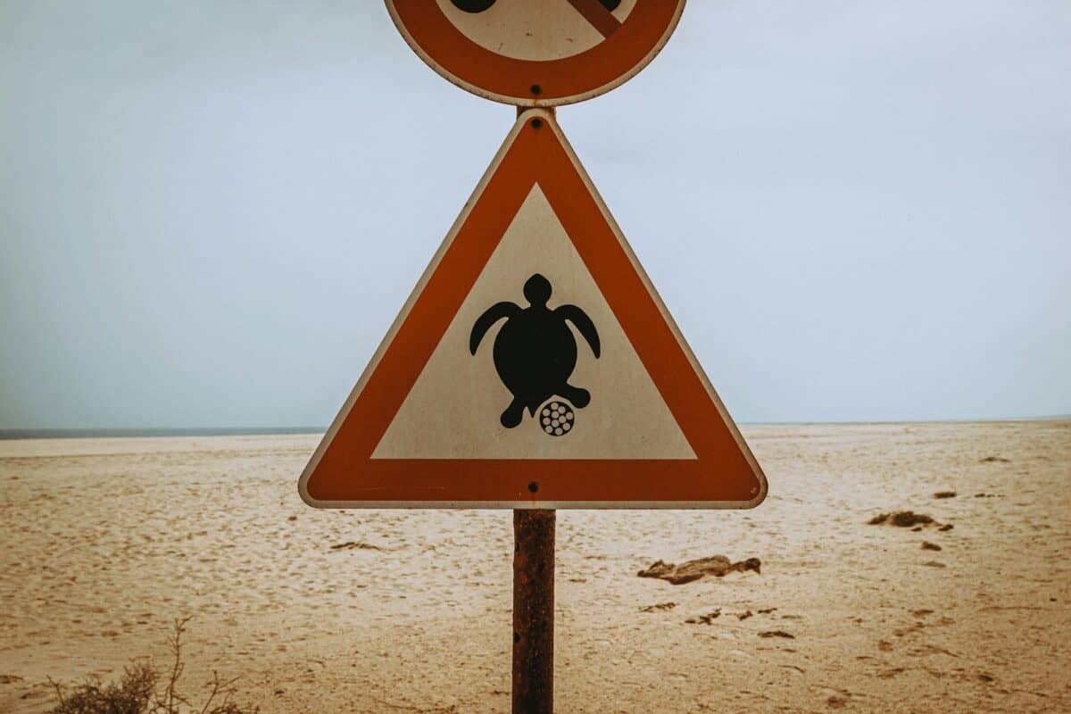 yellow and black road sign