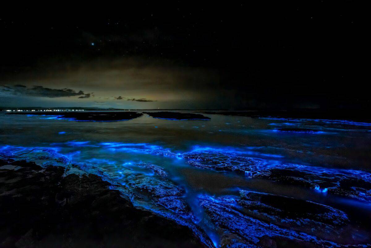 body of water during night time