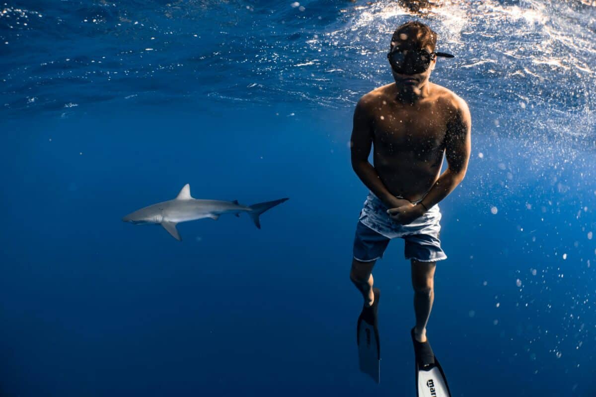 A man having a photo taken with a shark.