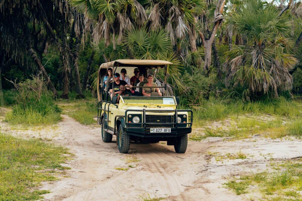 People enjoying a safari tour.