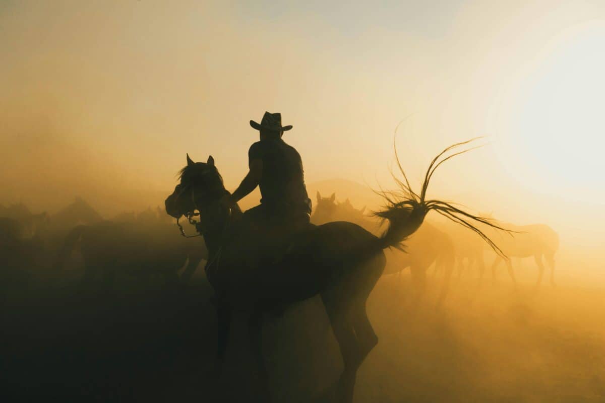A cowboy enjoying a sunrise ride.