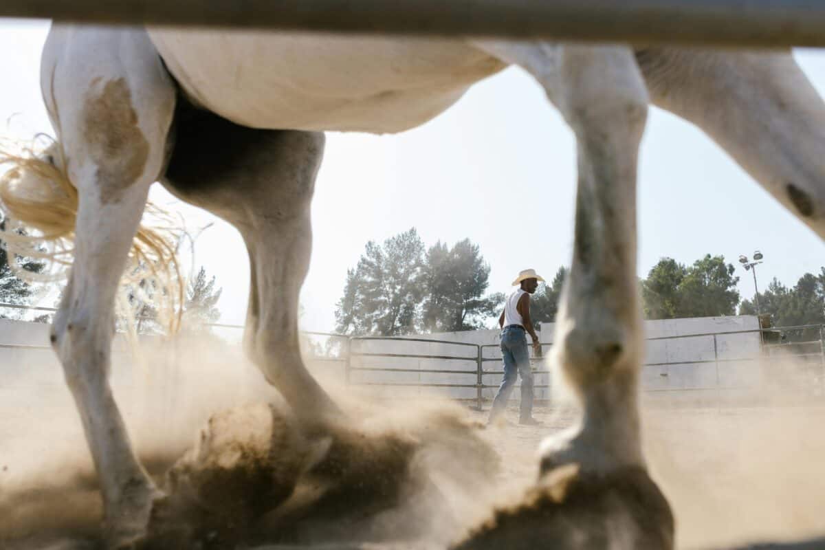A cowboy and his white horse.
