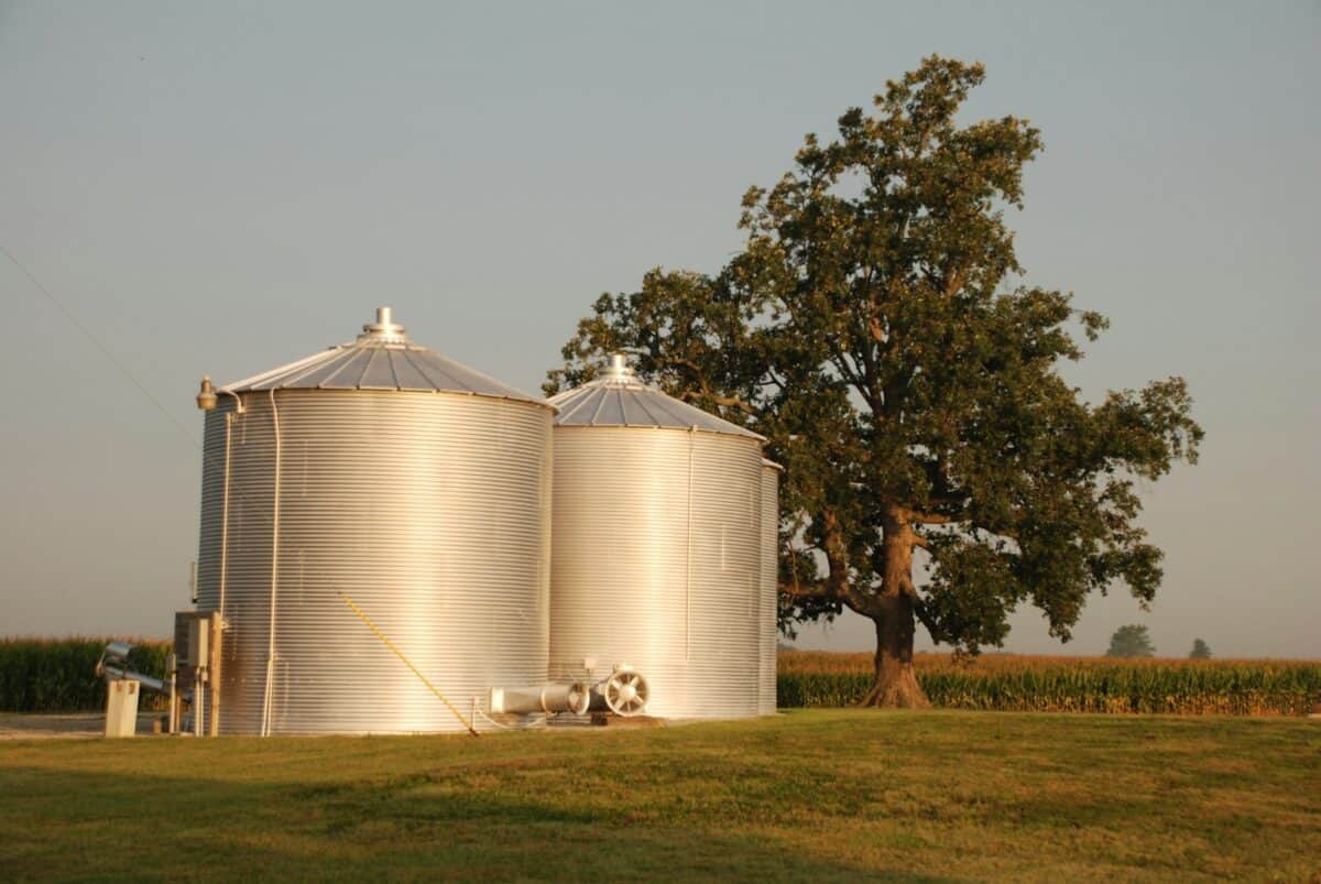 white and brown dome tent on green grass field during daytime