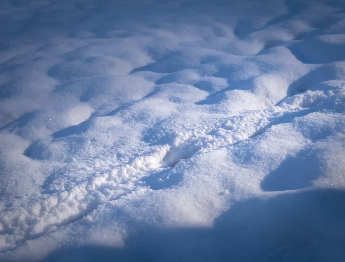 white snow on blue sky