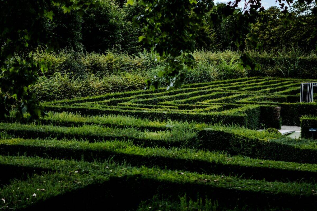 A large maze in the middle of a lush green park