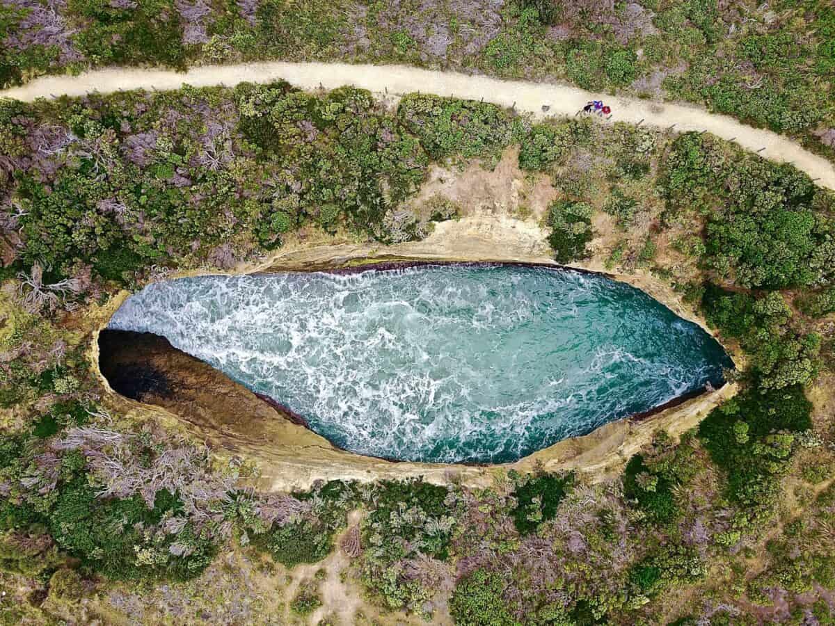 aerial view of green and brown land