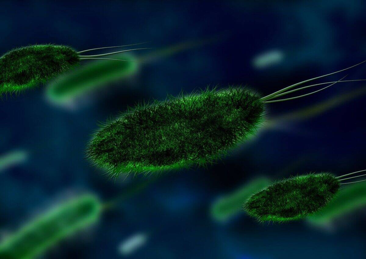 bacteria, virus, organism, pathogen, germs, microbes, microscopic, viruses, biology, microbiology, science, bacteria, bacteria, bacteria, bacteria, bacteria, virus, virus, virus, germs, biology