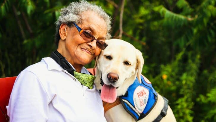 Could Dogs Be Used to Detect Illness in Humans?