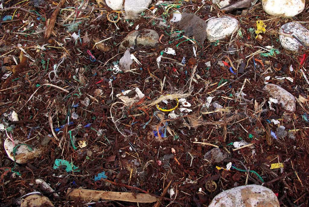Microplastics