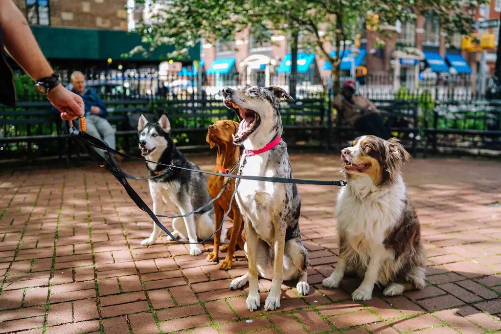 8. Practice Impulse Control Exercises (image credits: rawpixel)