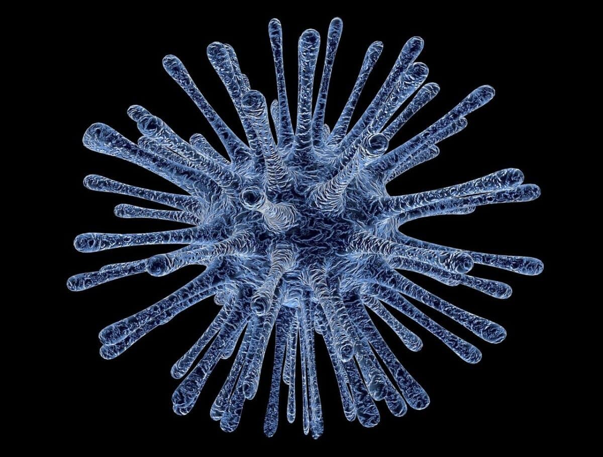 virus, bacterium, infection, disease, infectious disease, illness, biology, virus, virus, virus, virus, virus, disease
