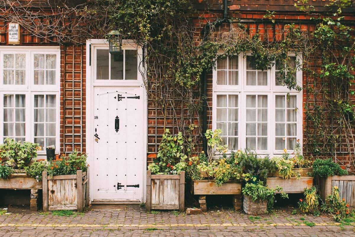 house, home, nature, door, sidewalk, cobblestone, bricks, vines, plants, brown home, brown house, brown plant, brown door, brown plants