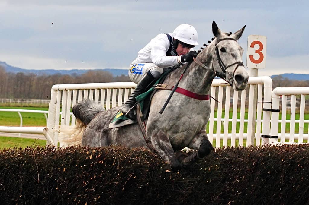 Horse race
