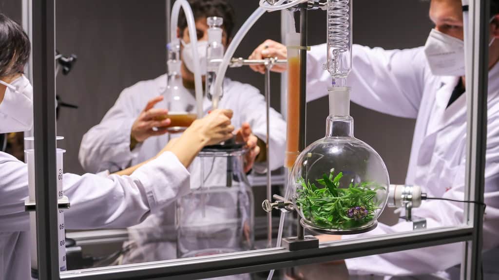 Scientists in a laboratory