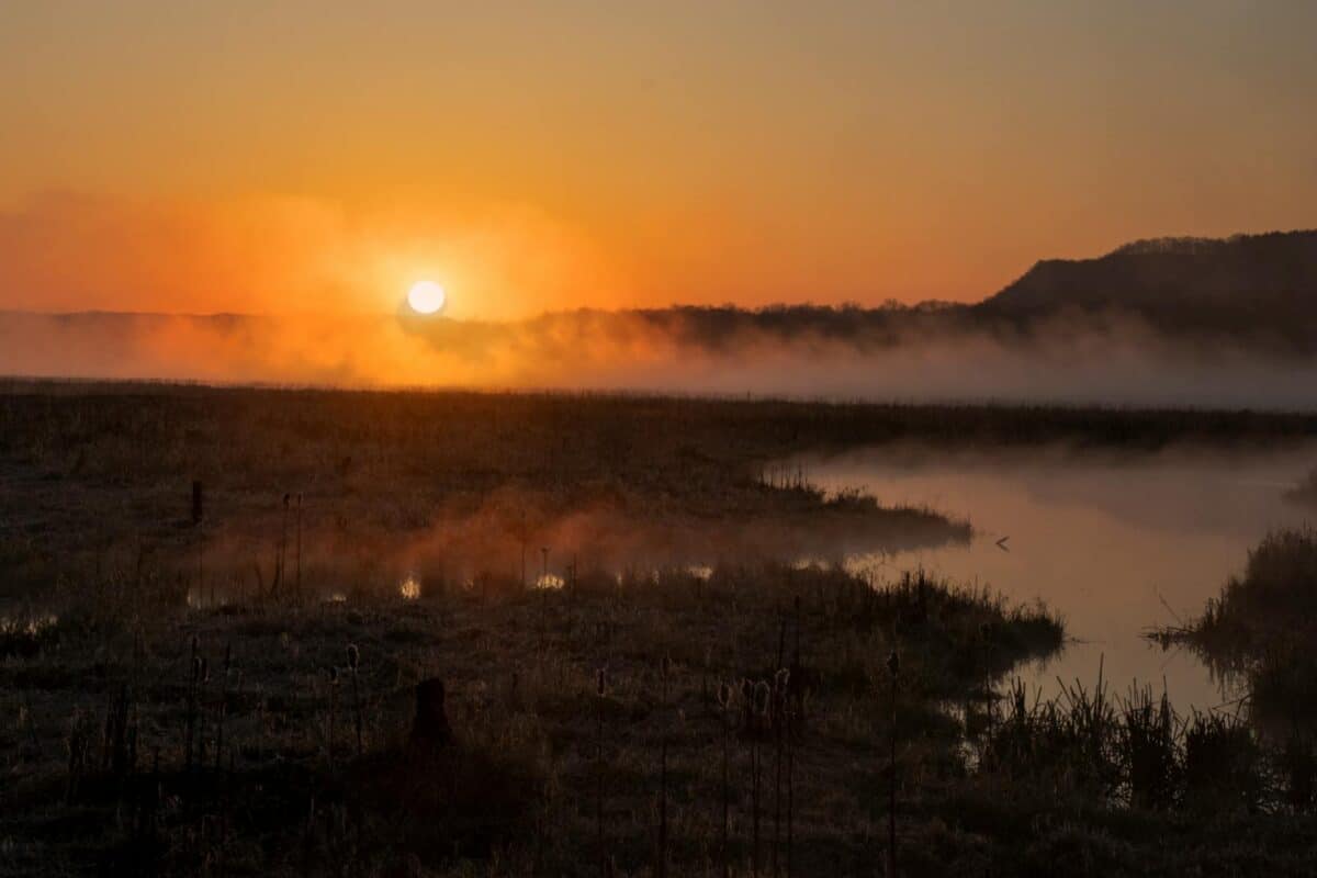Nature reserve