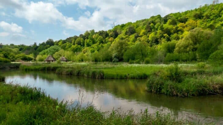 Are Nature Reserves Failing Their Conservation Mission?