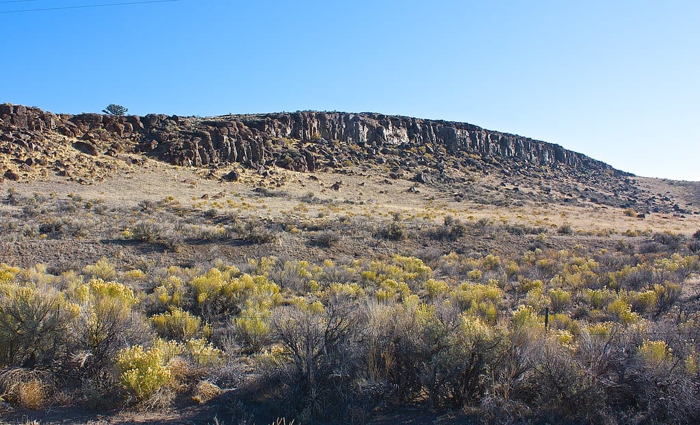 Oregon Outback