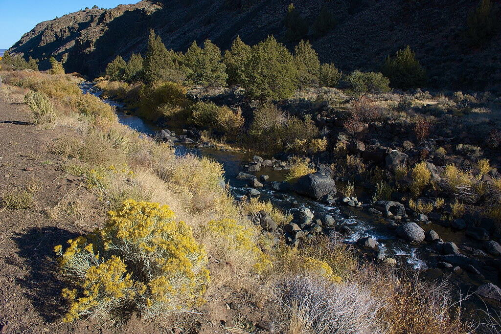 Oregon Outback