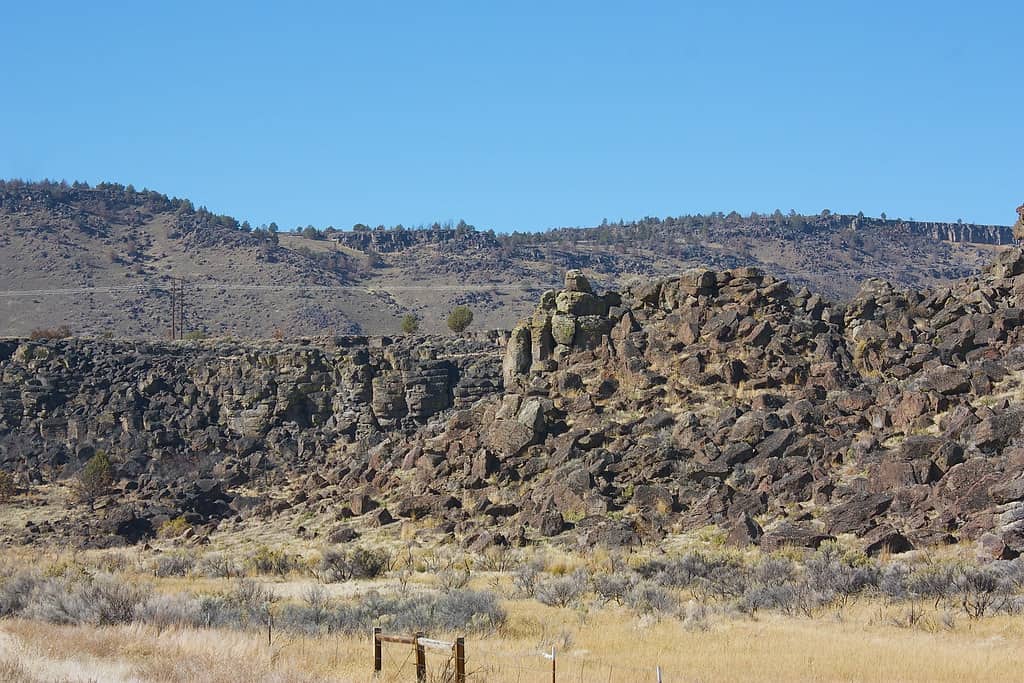 Oregon Outback