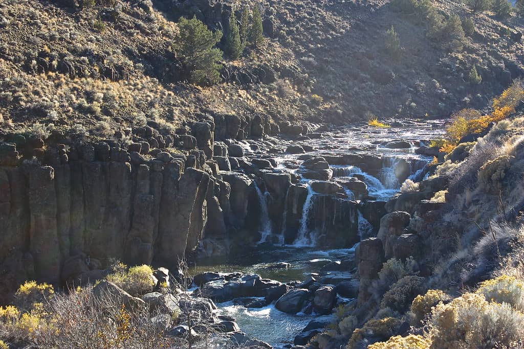 Oregon Outback