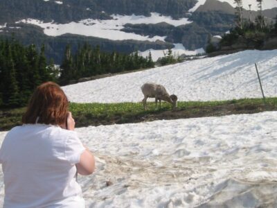 How to Safely Observe Wild Animals While Hiking