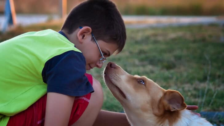 15 Weird Things Your Dog Actually Understands