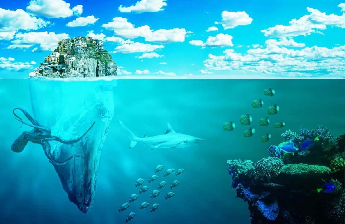sea, fishes, octopus, island, coastal town, reef, coral, photoshop, nature, composition