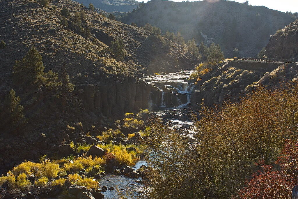 Oregon Outback