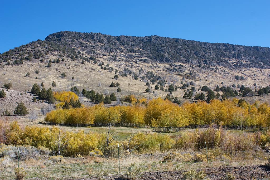 Oregon Outback
