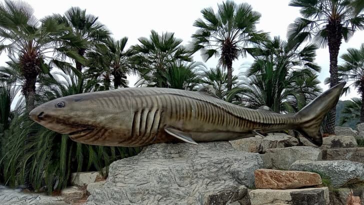 Scientists Discover a Fish That Lives 300 Years