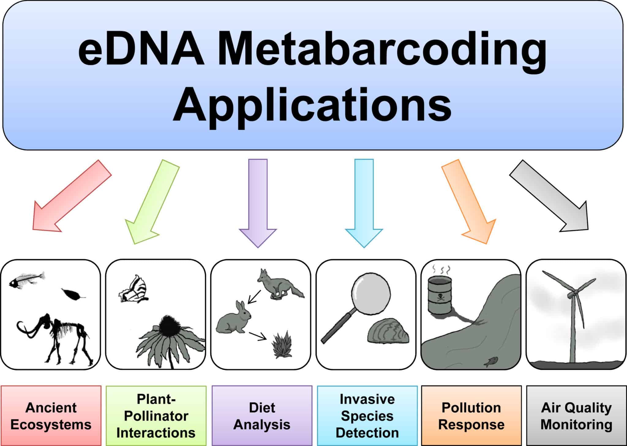 How Ancient DNA Is Helping Us Map - Applications Of Environmental DNA Metabarcoding In Aquatic And Terrestrial Ecosystems 2048x1457