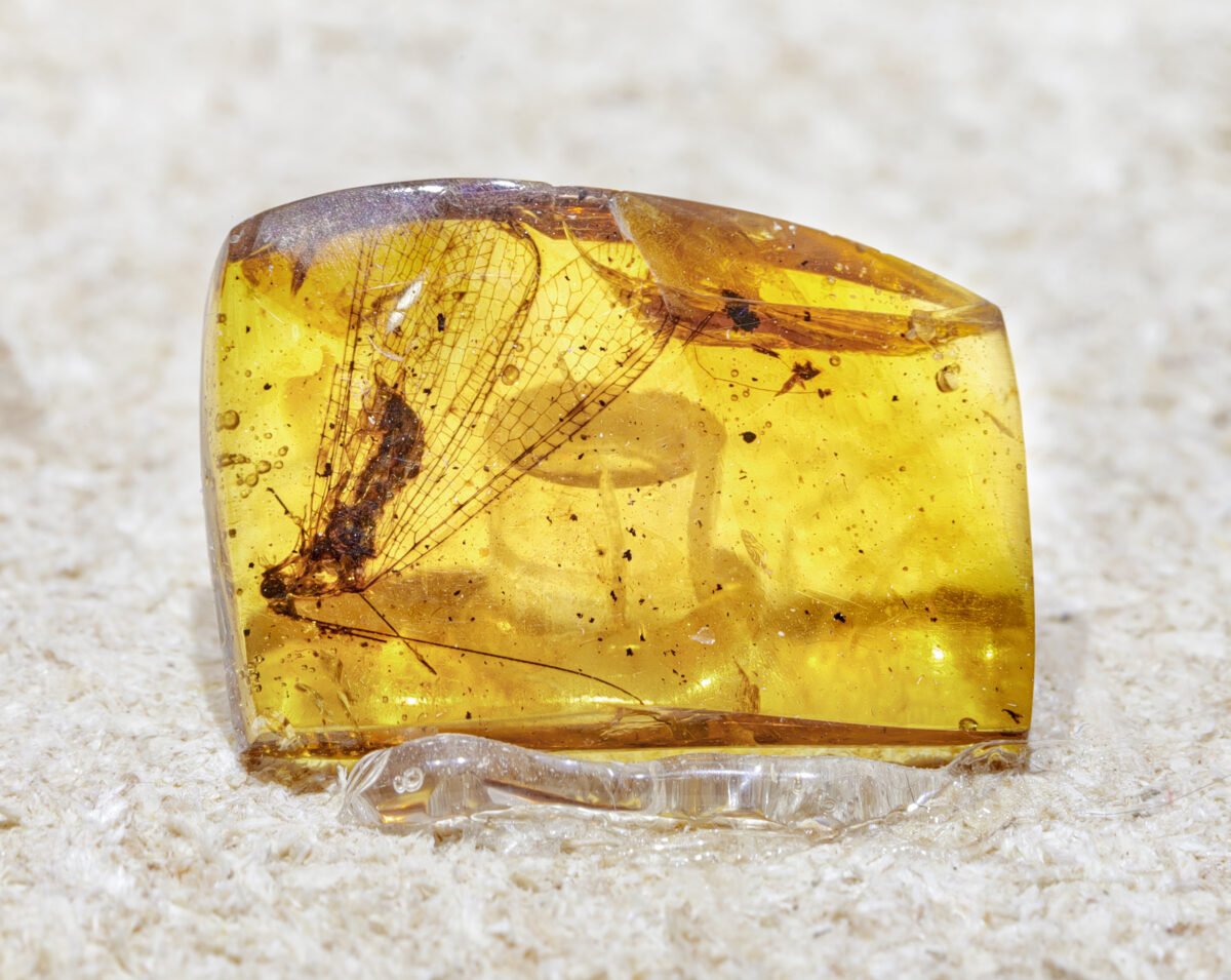 Burmese amber