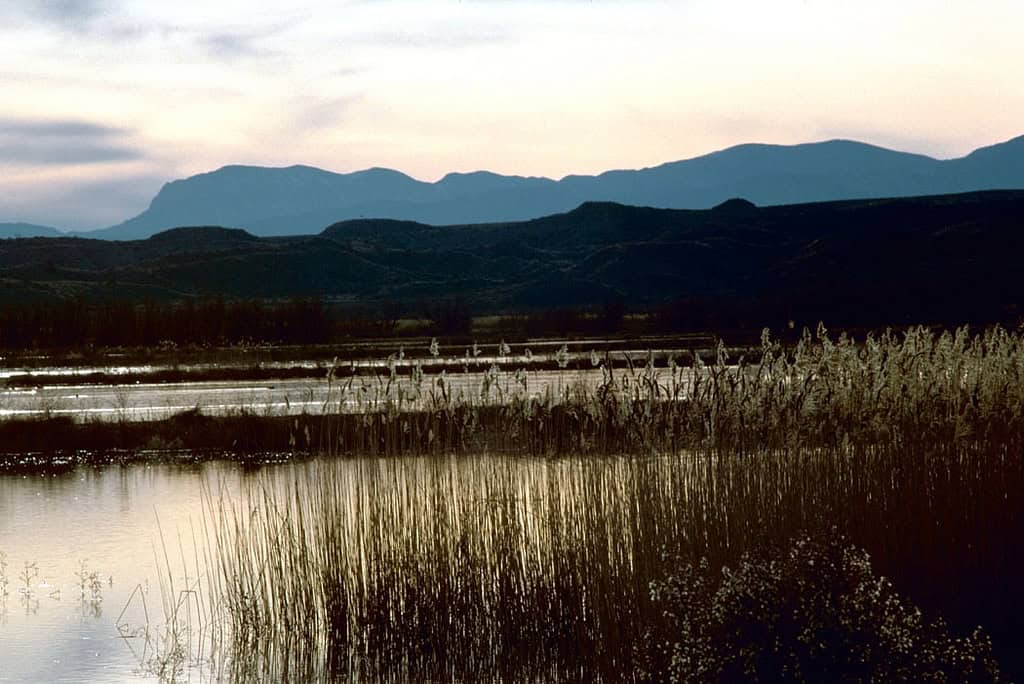 Bosque del Apache National Wildlife Refuge